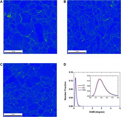 Effect of Discontinuous Yielding on the Strain Hardening Behavior of Fine-Grained Twinning-Induced Plasticity Steel